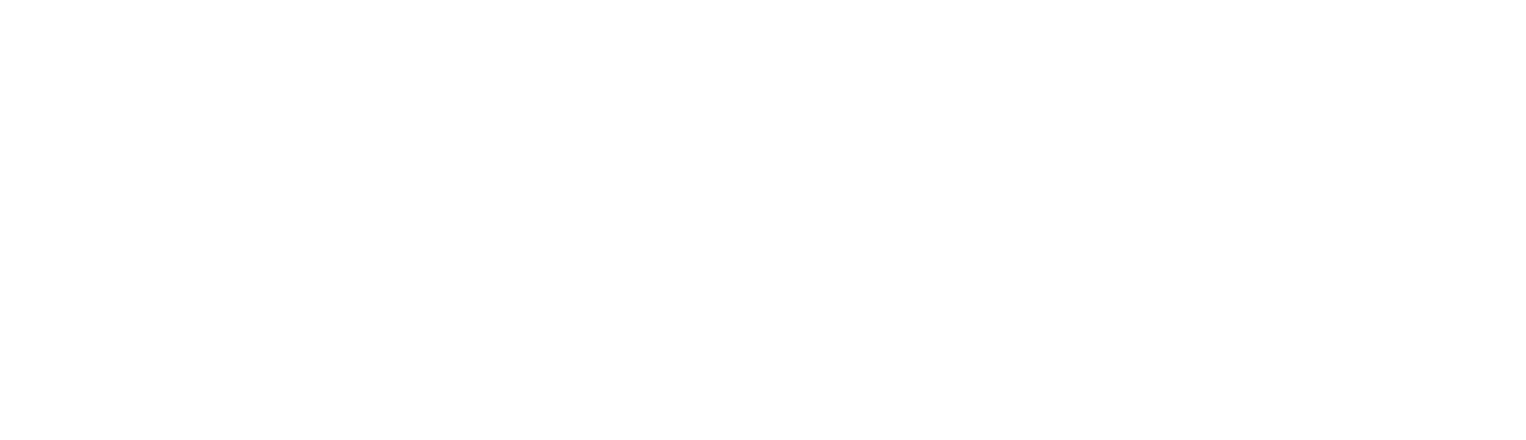 BizAppso — Business Apps. Smarter by AI.